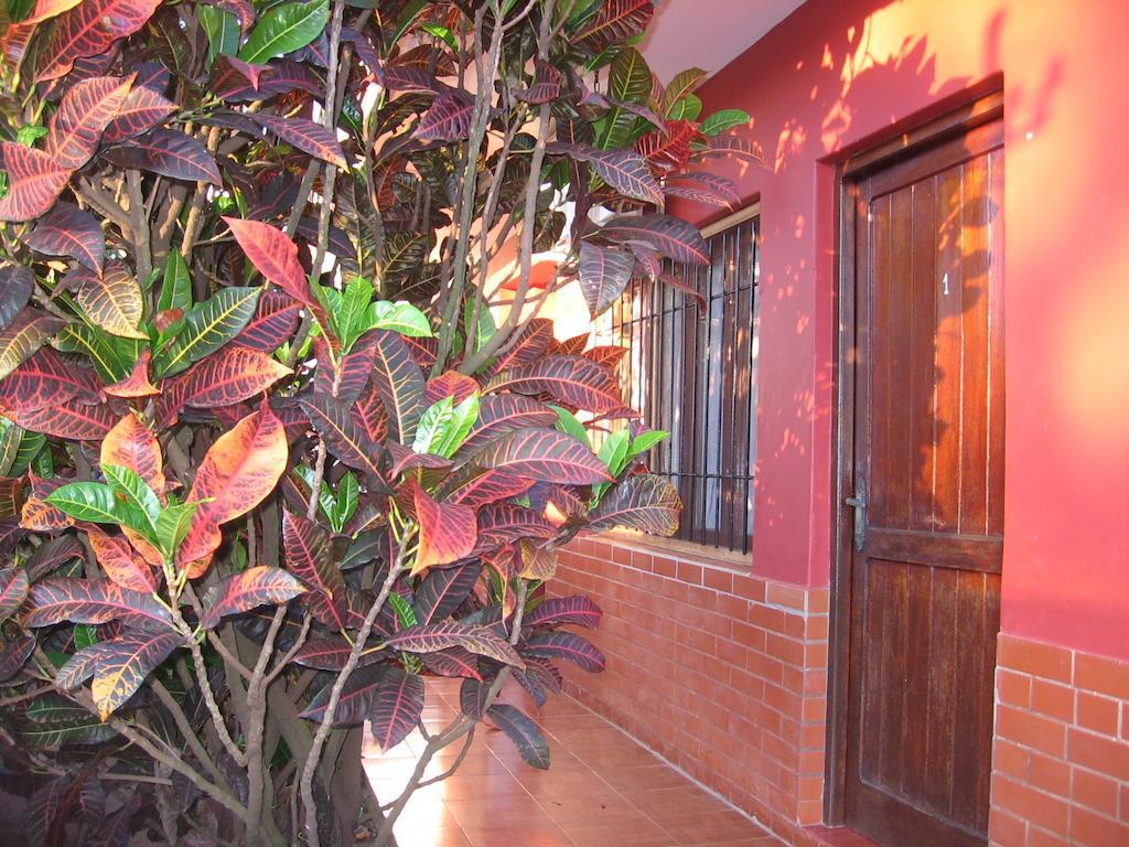 Alecrin Apart Puerto Iguazú Exterior foto